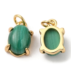 Natural Malachite Dyed Oval Charms&nbsp;G-A034-06G