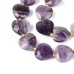 Natural Amethyst Beads Strands&nbsp;G-P592-B10-01