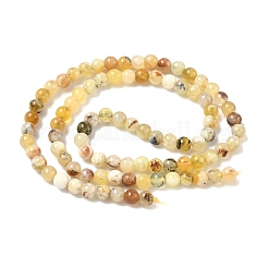 Natural Yellow Opal Beads Strands&nbsp;G-I213-18-4mm