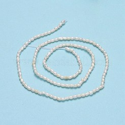 Natural Cultured Freshwater Pearl Beads Strands&nbsp;PEAR-J006-01A