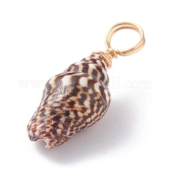 Natural Shell Pendants&nbsp;PALLOY-JF01164-02