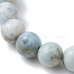 Natural Larimar Round Beads Stretch Bracelets for Women Men&nbsp;BJEW-JB13382-01