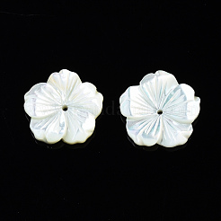 Natural White Shell Mother of Pearl Shell Beads&nbsp;SSHEL-T014-42B