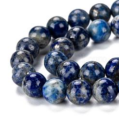 Natural Lapis Lazuli Round Bead Strands&nbsp;G-E262-01-8mm
