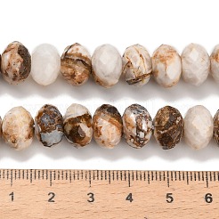 Natural Petrified Wood Beads Strands&nbsp;G-C259-A06-8x12mm-02