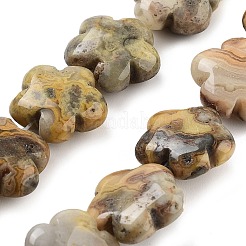Natural Crazy Agate Beads Strands&nbsp;G-F769-M01-01