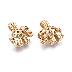 Rack Plating Alloy Locket Pendants&nbsp;PALLOY-N158-012G