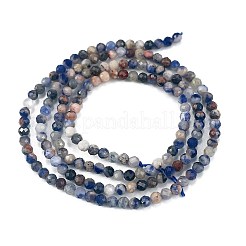 Natural Sodalite Beads Strands&nbsp;X-G-A097-A12-01