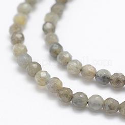 Natural Labradorite Beads Strands&nbsp;G-P322-30-4mm