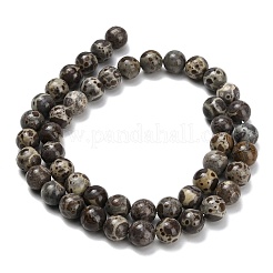Natural Astroite Jasper Beads Strands&nbsp;G-F814-A01-8mm