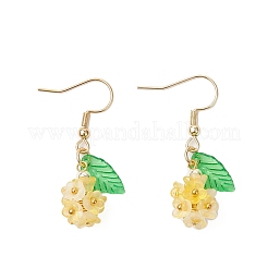 12Pair Transparent Acrylic Dangle Earrings&nbsp;EJEW-JE06558