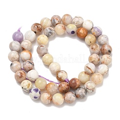 Natural Purple Opal Beads Strands&nbsp;G-L642-B21-8mm