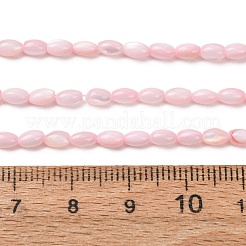 Dyed Natural Freshwater Shell Beads Strands&nbsp;SH-CBA2978-06D