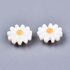 Natural Freshwater Shell Beads&nbsp;SHEL-S266-14A