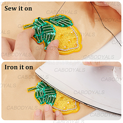 6Pcs 3 Styles Fruit Theme Polyester Applique Embroidery&nbsp;DIY-CY0003-61