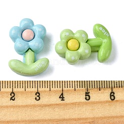 Opaque Resin Decoden Cabochons&nbsp;RESI-K038-04