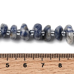 Natural Blue Spot Jasper Beads Strands&nbsp;G-L649-C01-01
