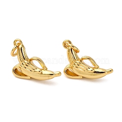 Brass Pendants&nbsp;KK-O140-17G