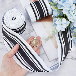 Polyester Ribbons&nbsp;OCOR-WH0079-16C