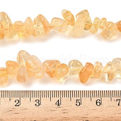 Natural Citrine(Heated) Beads Strands&nbsp;G-K400-A01-8x10