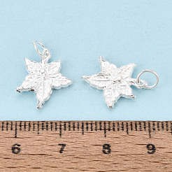 925 Sterling Silver Pendants&nbsp;STER-T009-07S