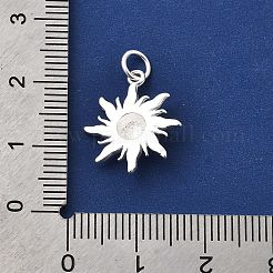 925 Sterling Silver Pendants&nbsp;STER-K188-14S