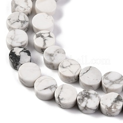 Natural Howlite Beads Strands&nbsp;G-C159-B01-01