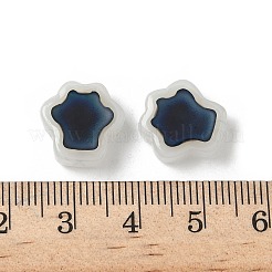 Glass Beads&nbsp;GLAA-P072-02