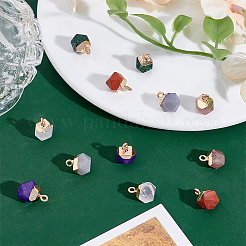 12Pcs 6 Styles Natural Ruby in Zoisite & Natural White Jade & Red Jasper & Grey Agate & Strawberry Quartz & Quartz Crystal Star Cut Round Charms&nbsp;G-HY0001-87