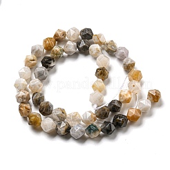Natural Bamboo Leaf Agate Beads Strands&nbsp;G-NH0012-B02-03