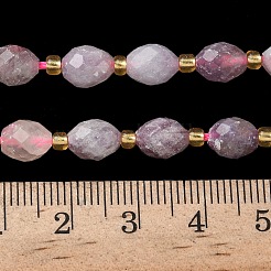 Natural Lepidolite Beads Strands&nbsp;G-F809-A43-01