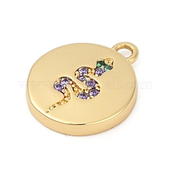 Brass Micro Pave Cubic Zirconia Charms&nbsp;KK-G526-03G-02