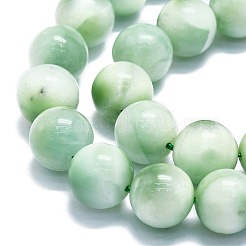 Natural Glass Beads Strands&nbsp;G-K245-A13-05