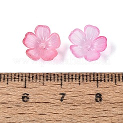 Transparent Plastic Bead Caps&nbsp;KY-Q005-02A-10