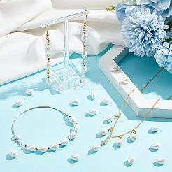 1 Strand Polished Shell Pearl Beads Strands&nbsp;BSHE-NB0001-32