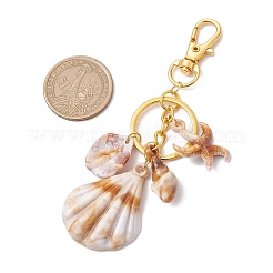 6Pcs 6 Styles Natural Shell Keychains&nbsp;KEYC-JKC01101