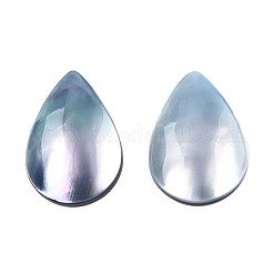 Natural Turbo Cornulus/Top Shells Cabochons&nbsp;SSHEL-N003-157A