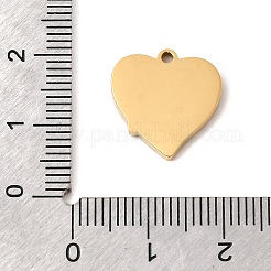 304 Stainless Steel Pendants&nbsp;STAS-K297-06G