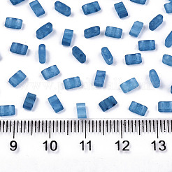 FGB 2-Hole Baking Paint Glass Seed Beads&nbsp;X-SEED-S031-M-SH1205FR