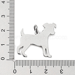 Non-Tarnish 304 Stainless Steel Pendants&nbsp;STAS-E205-12P