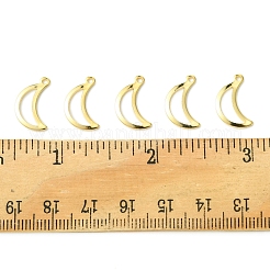 40Pcs 304 Stainless Steel Charms&nbsp;STAS-FS0001-51