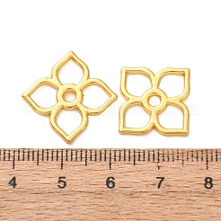 Alloy Pendants&nbsp;FIND-C094-10G