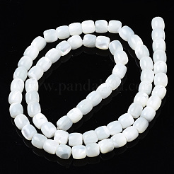 Natural Trochid Shell/Trochus Shell Beads Strands&nbsp;X-SSHEL-N034-121-B01