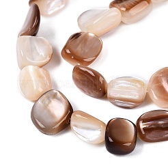 Natural Freshwater Shell Beads Strands&nbsp;SHEL-Q030-01