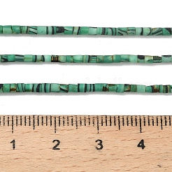 Dyed Synthetic Turquoise Beads Strands&nbsp;G-P594-01B-06