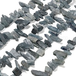 Natural Kyanite Beads Strands&nbsp;G-C253-04