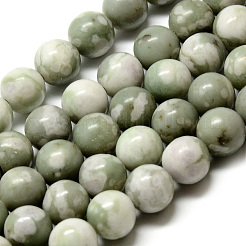 Natural Peace Jade Beads Strands&nbsp;G-Q462-50-8mm