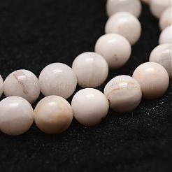 Natural White Crazy Lace Agate Bead Strands&nbsp;G-D840-55-10mm