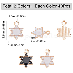 80Pcs 2 Colors Alloy Enamel Pendants&nbsp;ENAM-SC0005-11