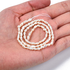 Natural Cultured Freshwater Pearl Beads Strands&nbsp;X-PEAR-N012-02F